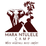 Mara Ntulele Camp